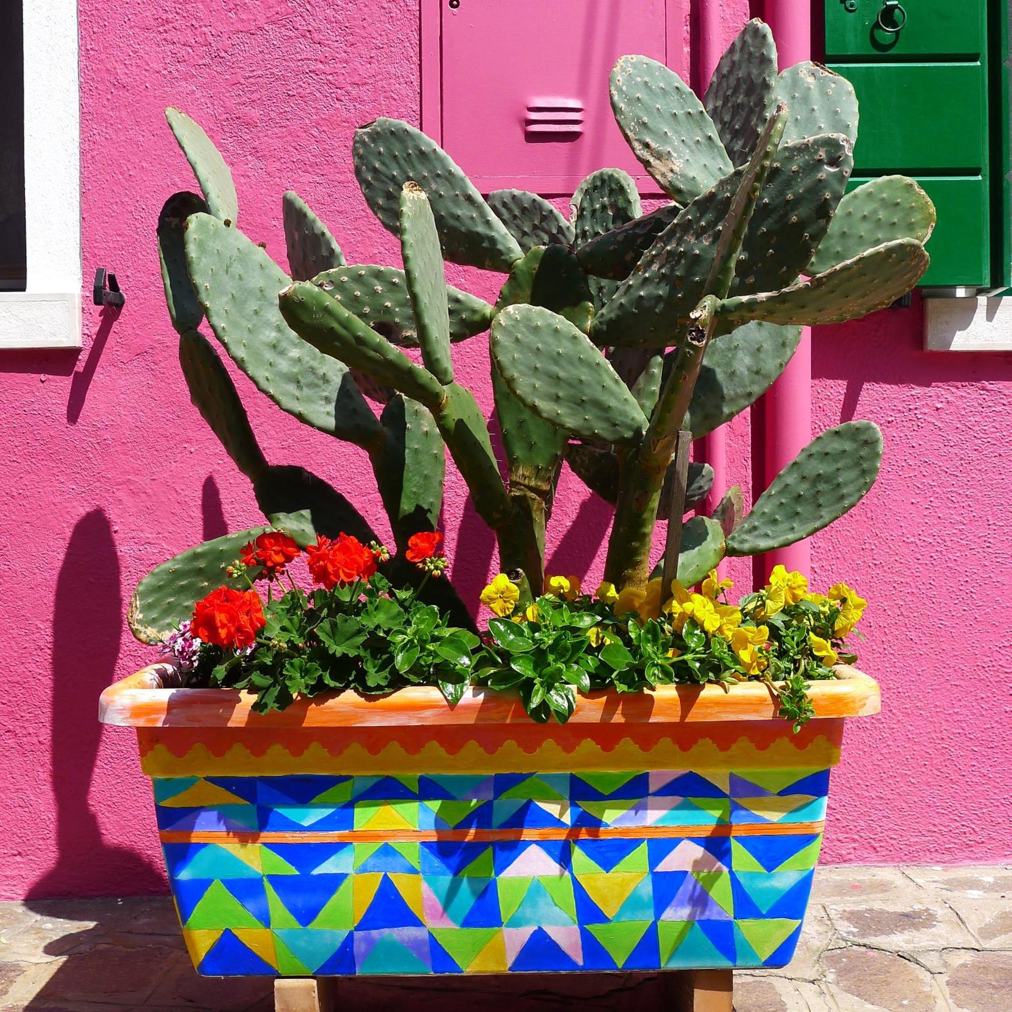 Night Galleria Holiday Home - Bed & Art In Burano - The Pink House Buitenkant foto